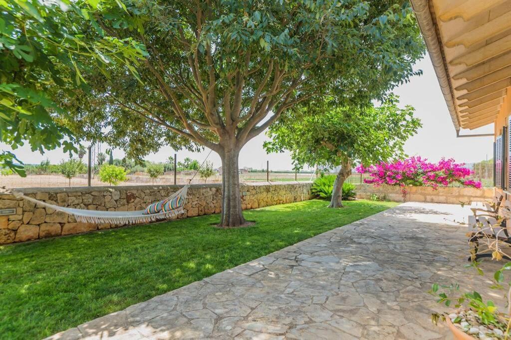 Finca Amer Sa Pobla Εξωτερικό φωτογραφία