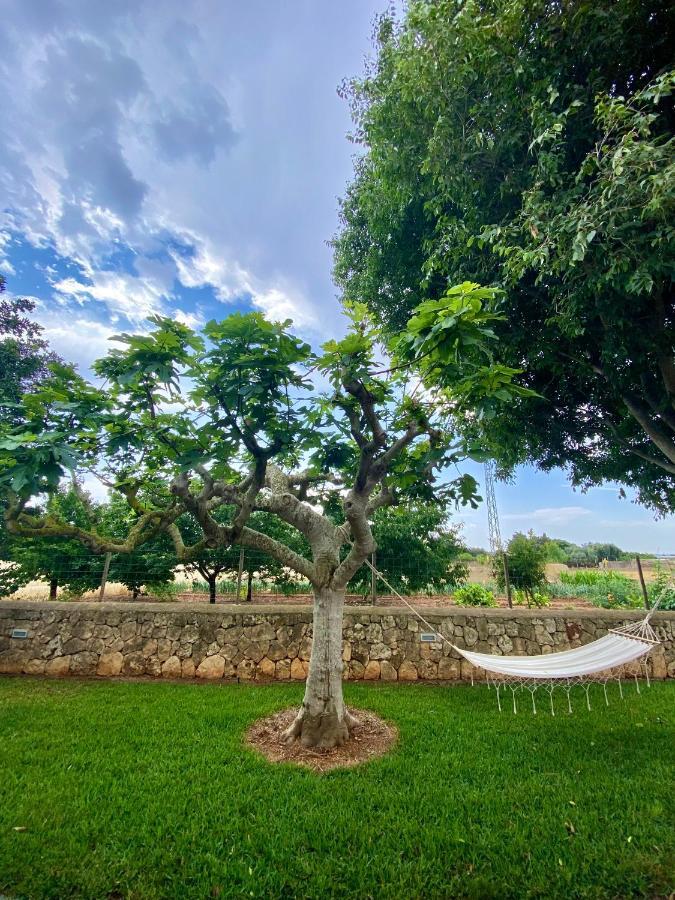 Finca Amer Sa Pobla Εξωτερικό φωτογραφία